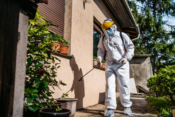 Professional Pest Control in Eagle Pass, TX