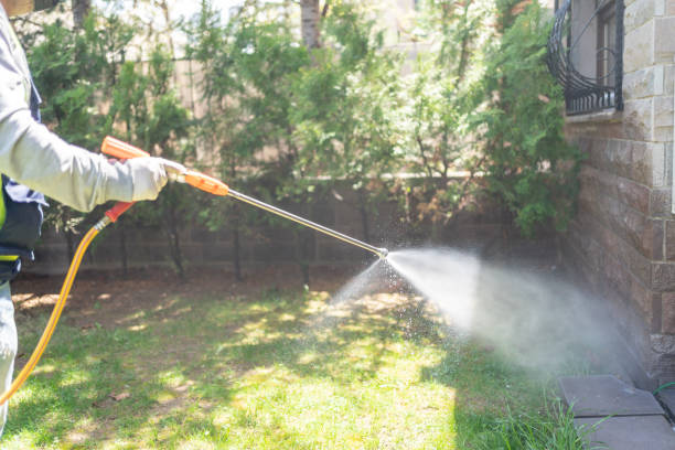 Eagle Pass, TX Pest Control Company